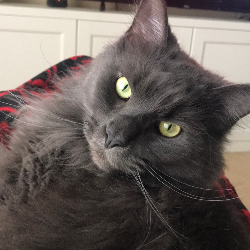 Meet your Posher, Jeanette